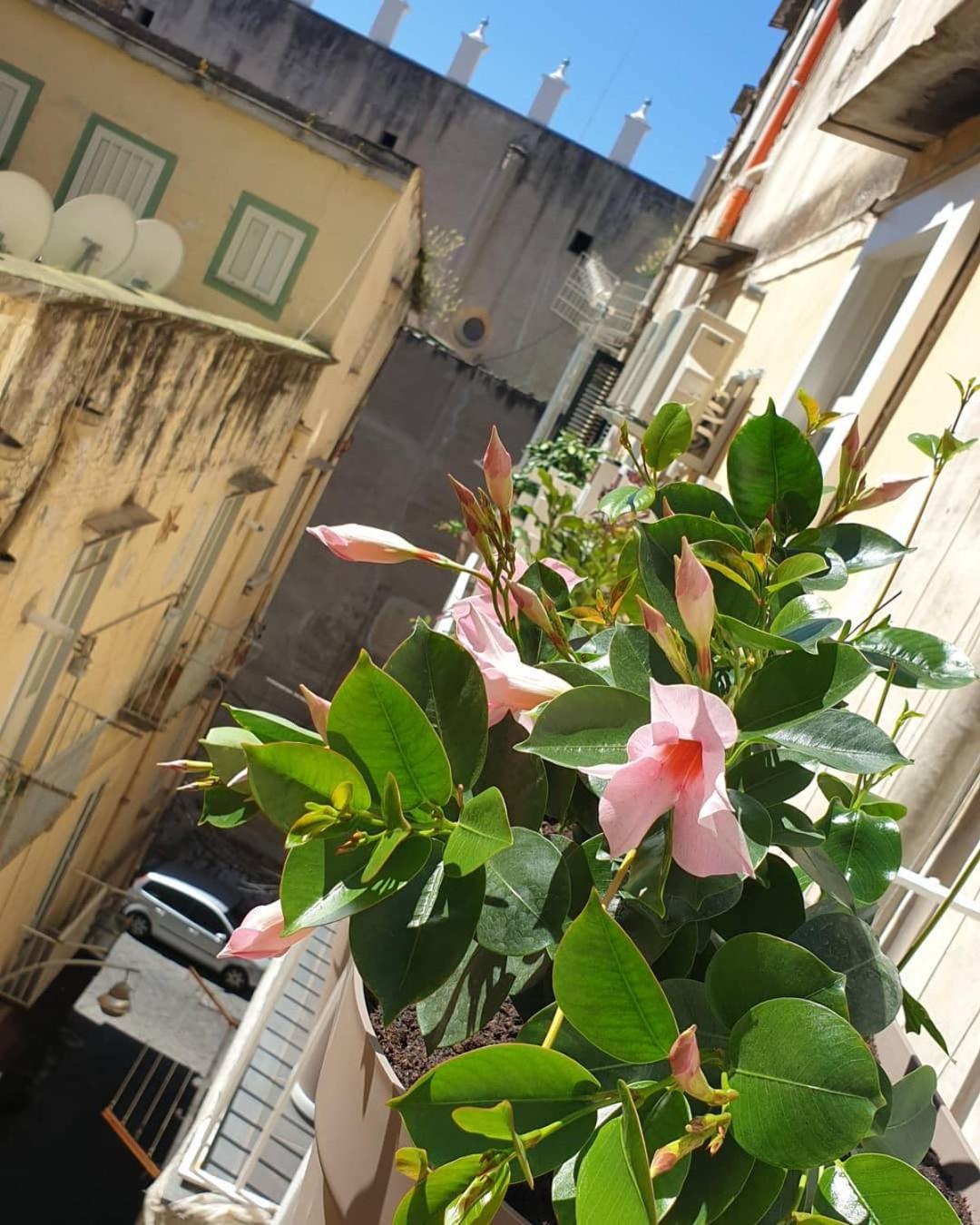 Santa Chiara Inn Napoli Eksteriør billede